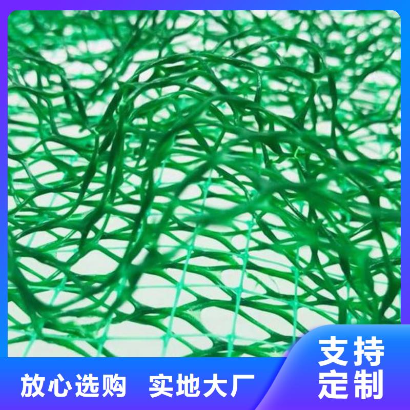 三维植被网植草格放心购