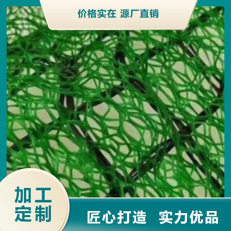 【 三维植被网车库虹吸排水系统 支持定制加工】由朋联为您