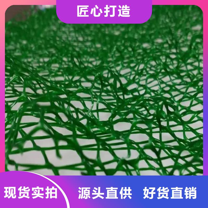 三维植被网-三维植被网厂家