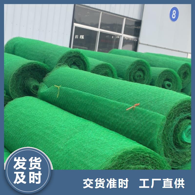 三维植被网排水板质优价廉