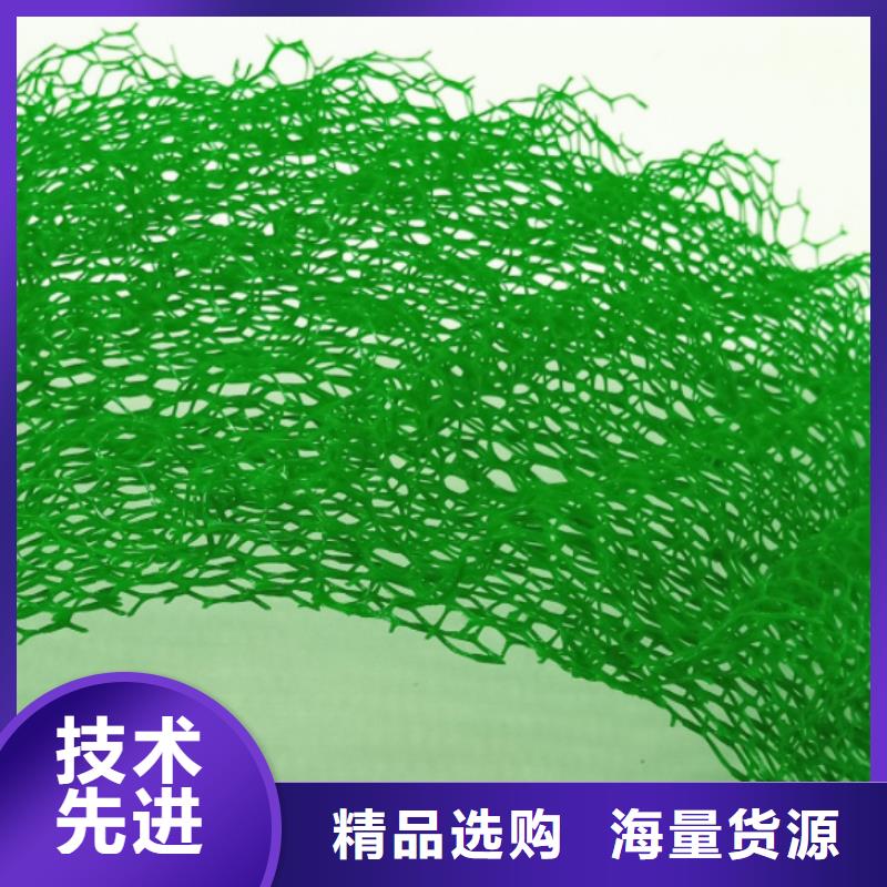 三维植被网车库虹吸排水系统品质优选