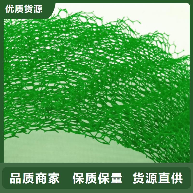三维植被网植草格放心购
