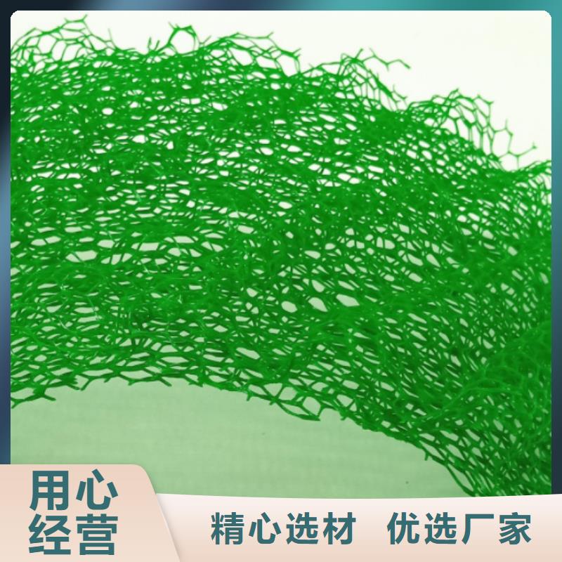 【 三维植被网 植草格实力商家】-服务区域包括义乌|浦江|绍兴|宁波|嘉兴|衢州等-产品视频