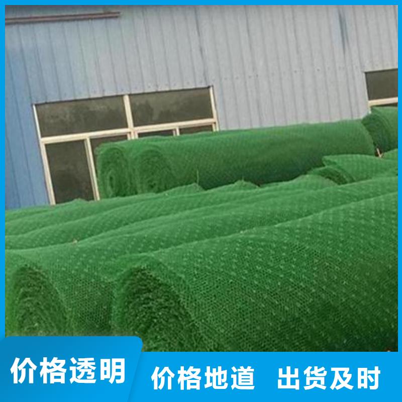三维植被网植草格自产自销