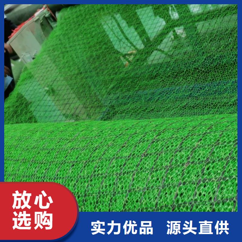 三维植被网排水板质优价廉