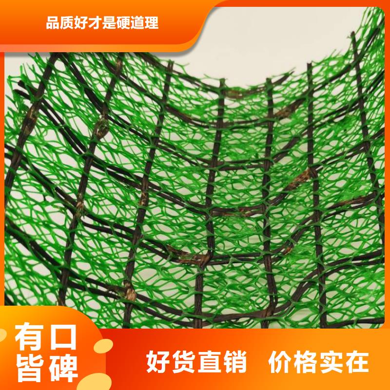 三维植被网原产地