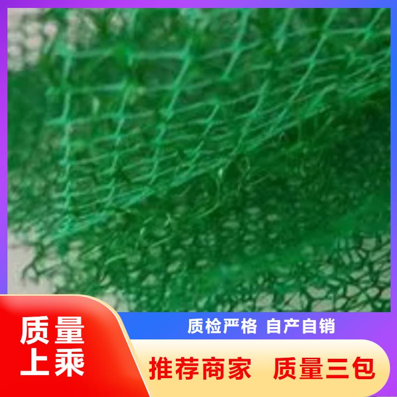 三维植被网型号全_全国供应