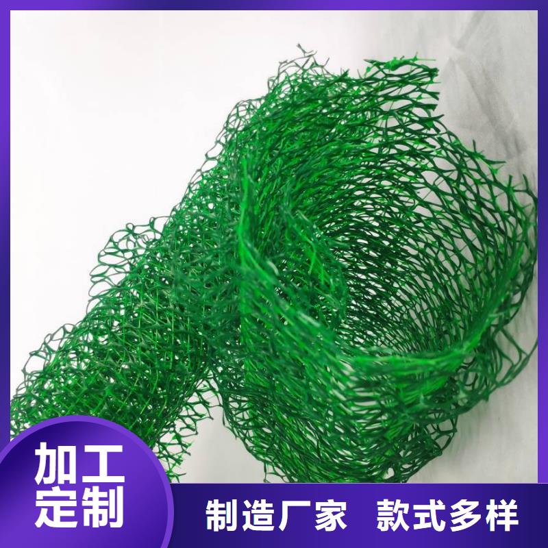 三维植被网植草格放心选购