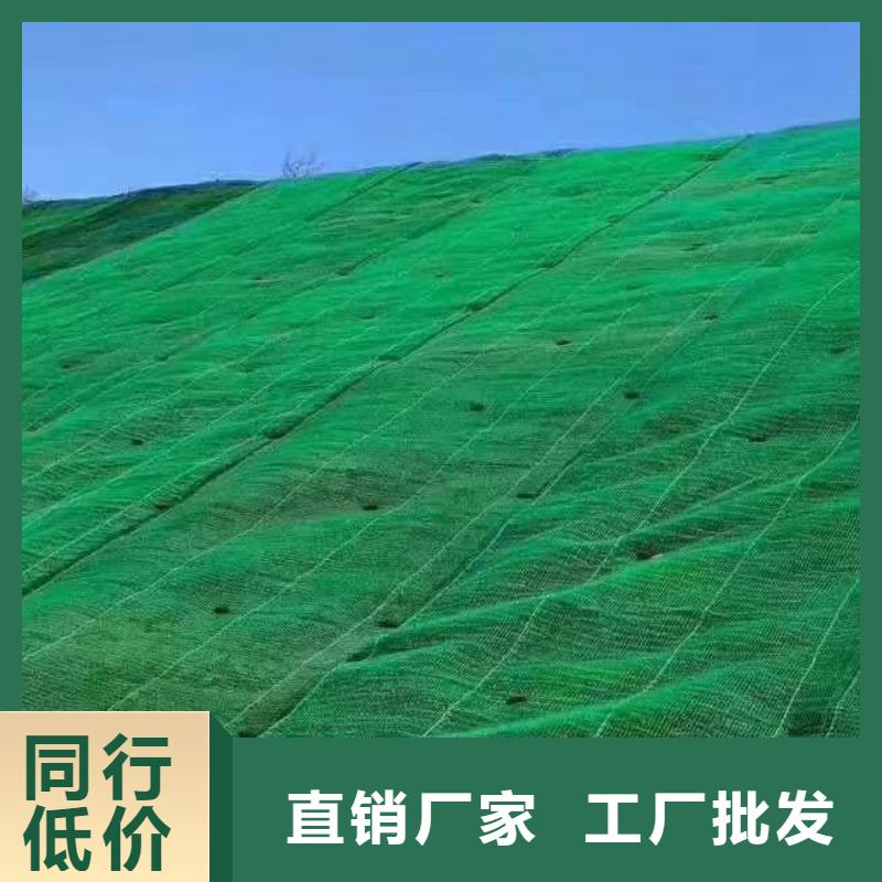 宁波咨询三维植被网 植草格现货销售