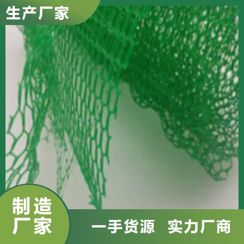 三维土工网垫本地工厂直营