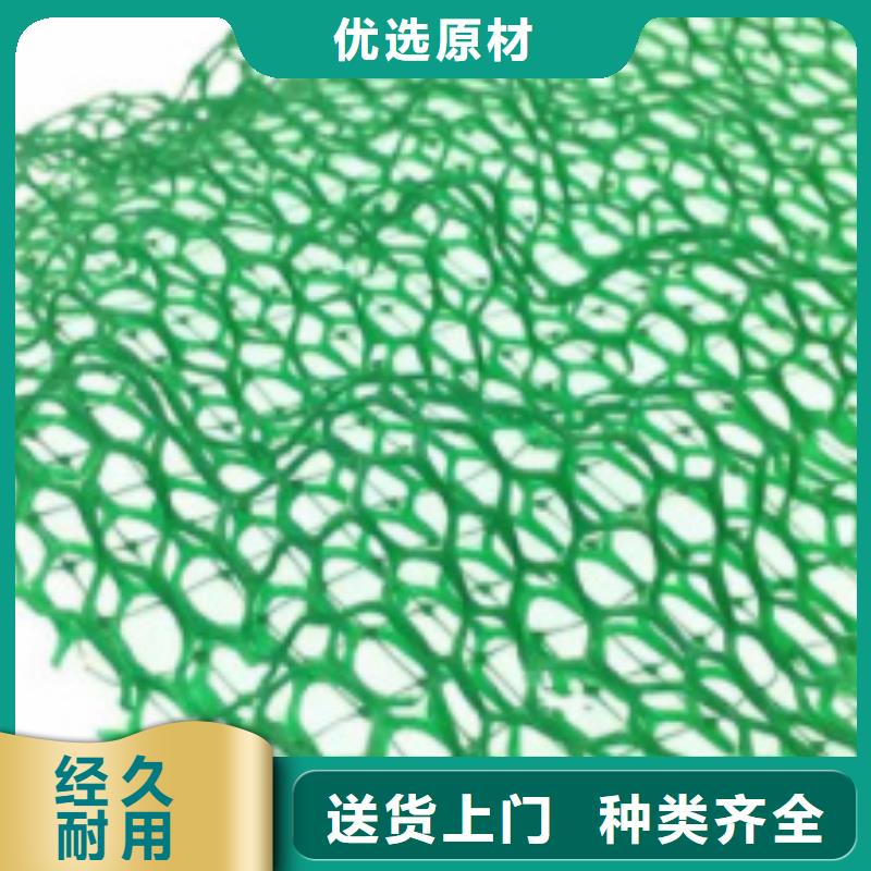 保亭县三维土工网垫厂家供应边坡复绿