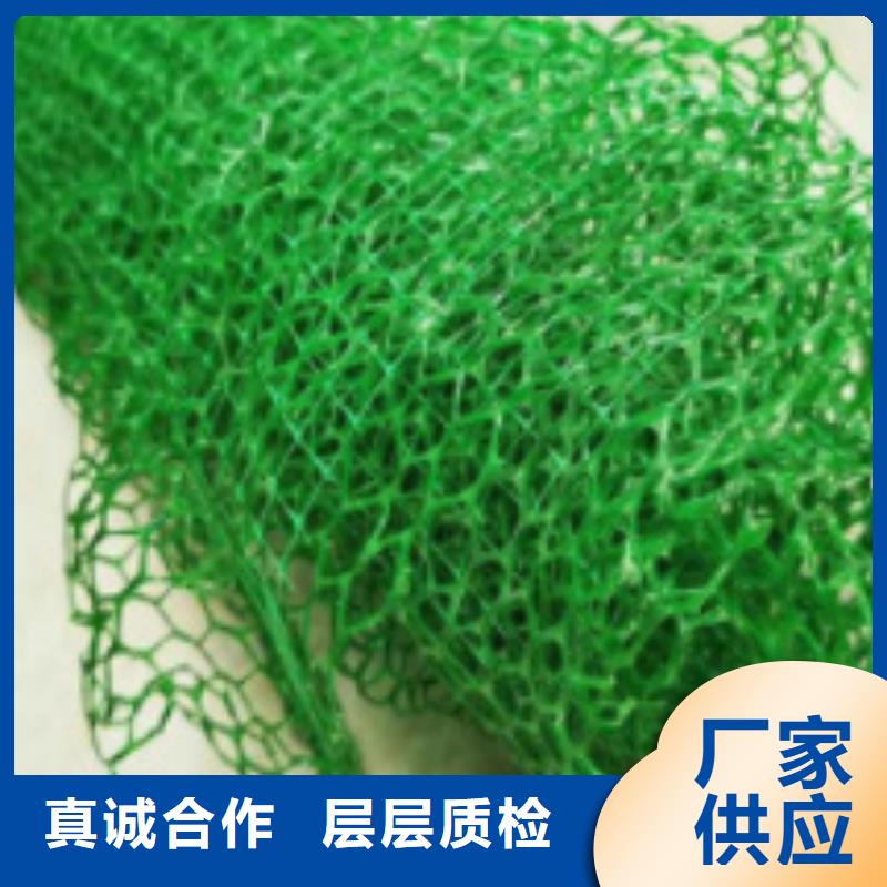 三维土工网垫诚信厂家