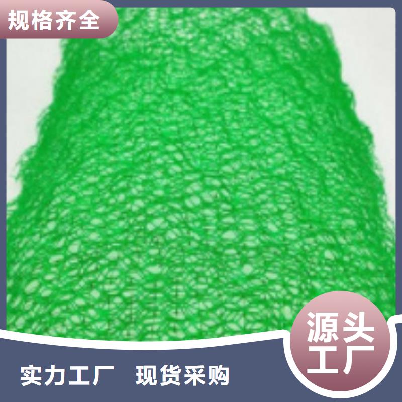 三维植被网_水泥化粪池懂您所需