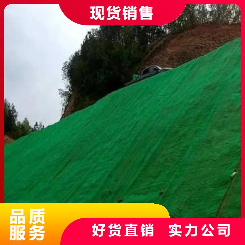 三维植被网防护虹吸排水收集系统厂家精选