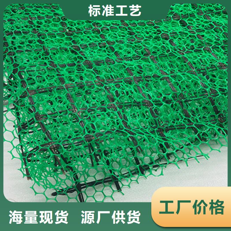 三维土工网垫诚信厂家
