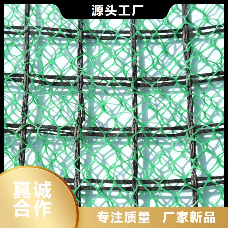 三维植被网-三维植被网厂家