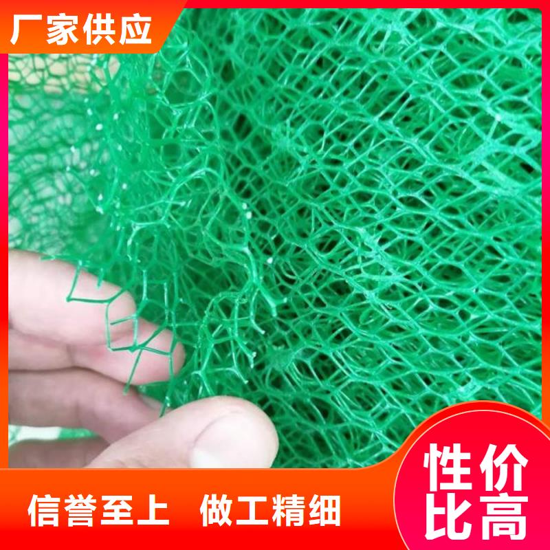三维植被网排水板质优价廉