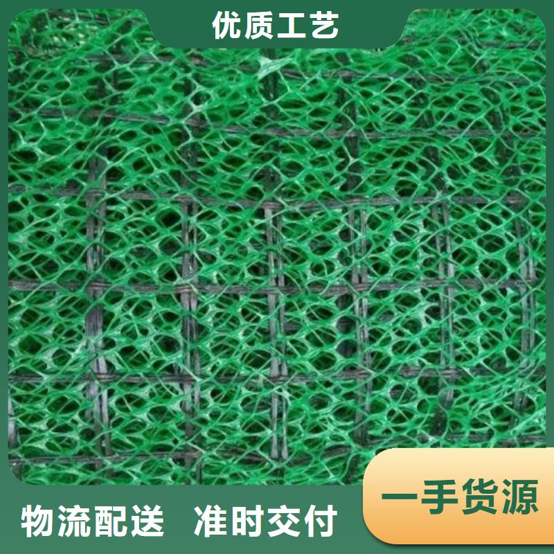 三维土工网垫价格