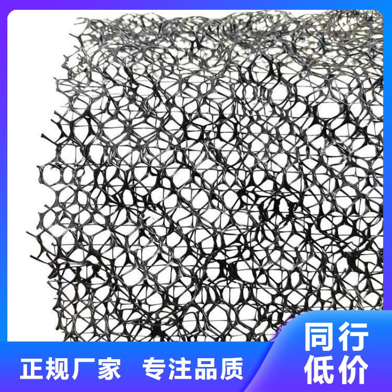 三维植被网_排水板注重细节
