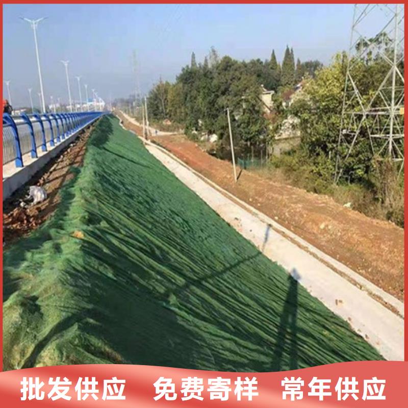 【 三维植被网车库虹吸排水系统 支持定制加工】由朋联为您