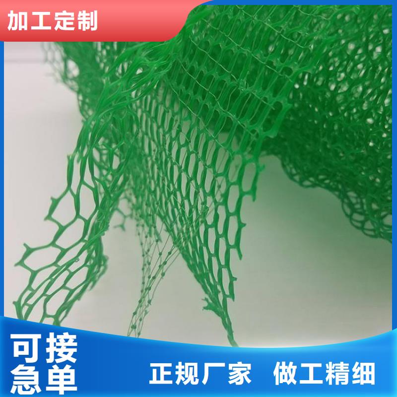 三维植被网植草格大厂生产品质