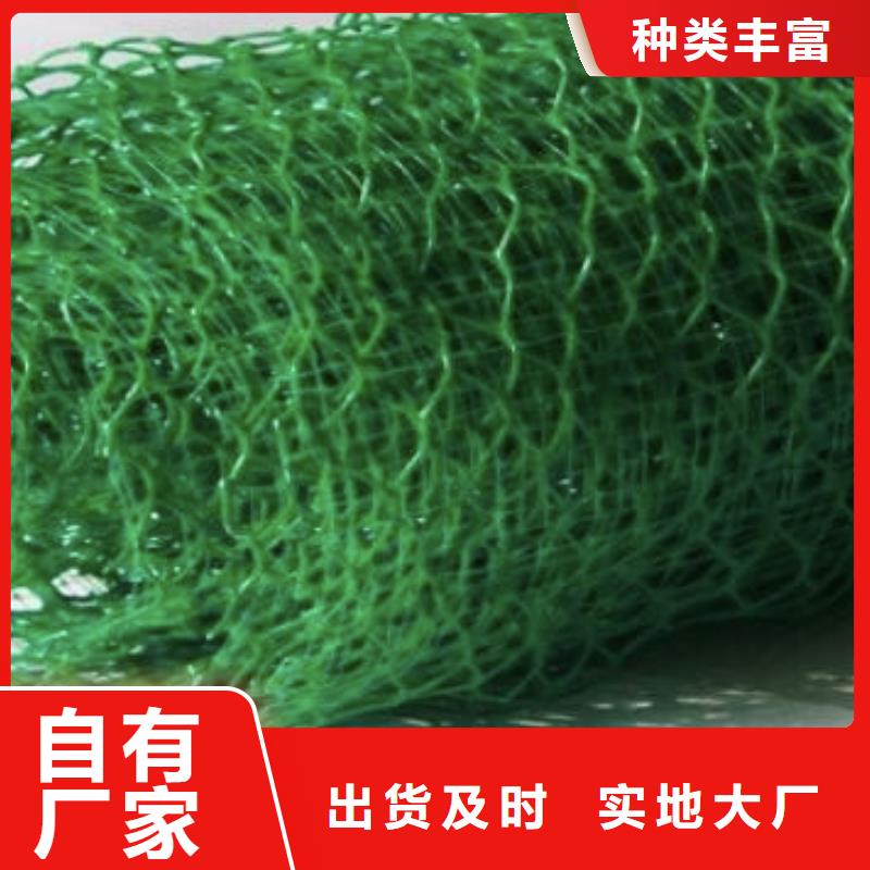 三维植被网排水板源头工厂量大优惠