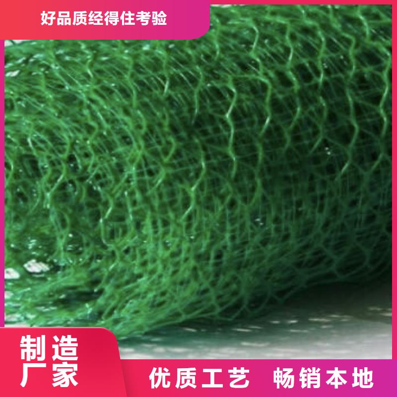 三维植被网-水泥化粪池生产型