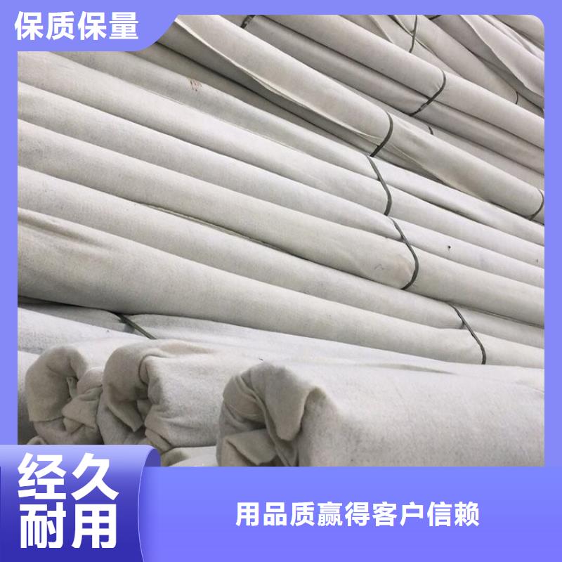 塑料盲沟-蓄水板细节展示