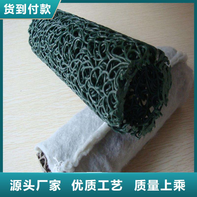 排水盲管 【紫铜止水片】出货快 金鸿耀工程材料(濮阳市分公司)