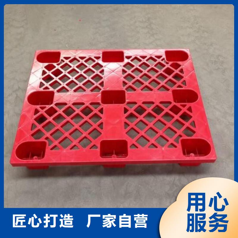 鸡舍塑料垫板厂家信誉好