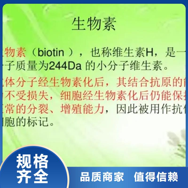 生物素使用方法