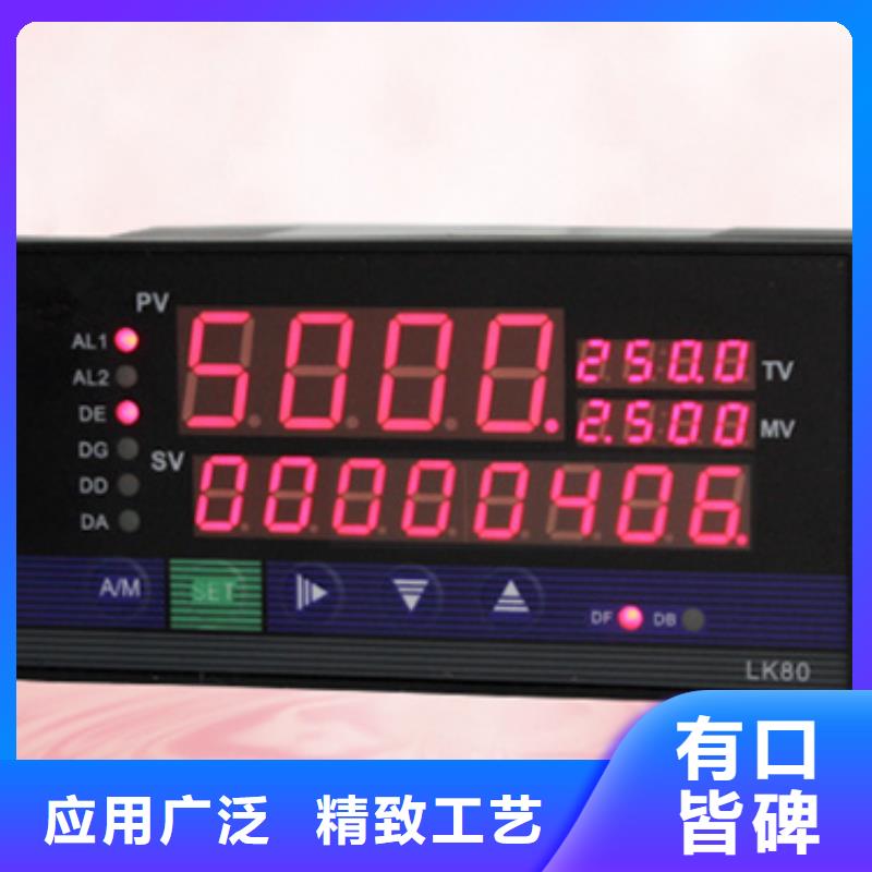 实力雄厚的热风炉热电偶WRST-5335RF-2N1-950SS730-A2生产厂家