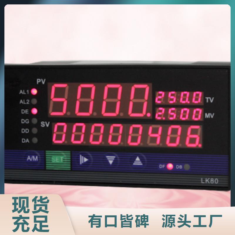 YPD-Q3-V2-A2-P1-O8订购找大品牌