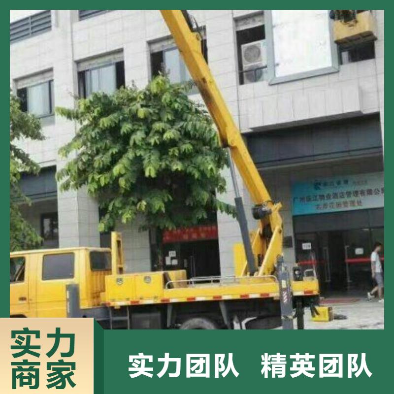 路灯车实力团队