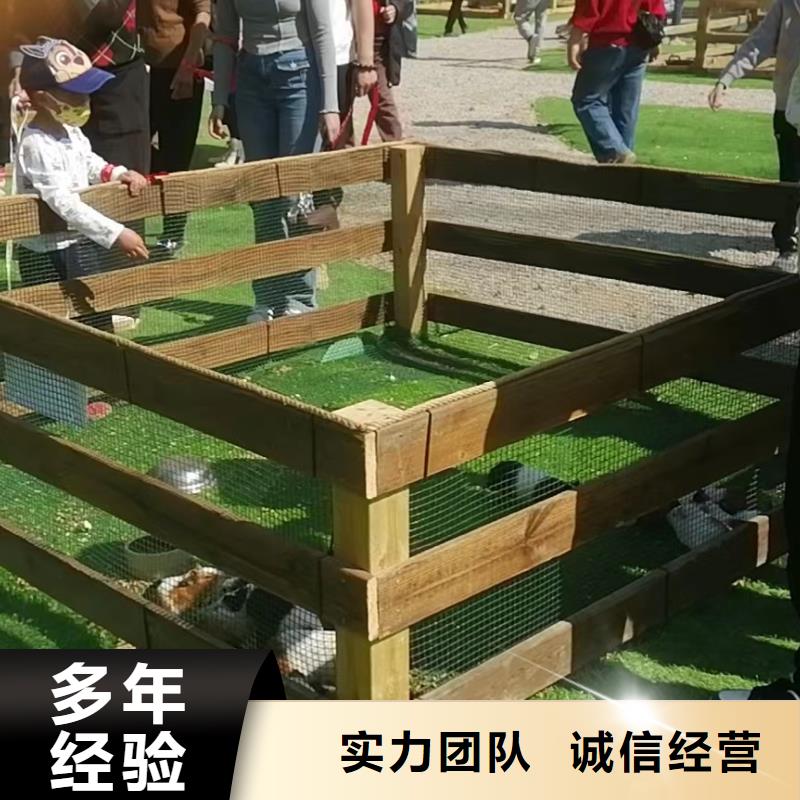 马戏团/羊驼-【【海狮表演租赁】】服务热情