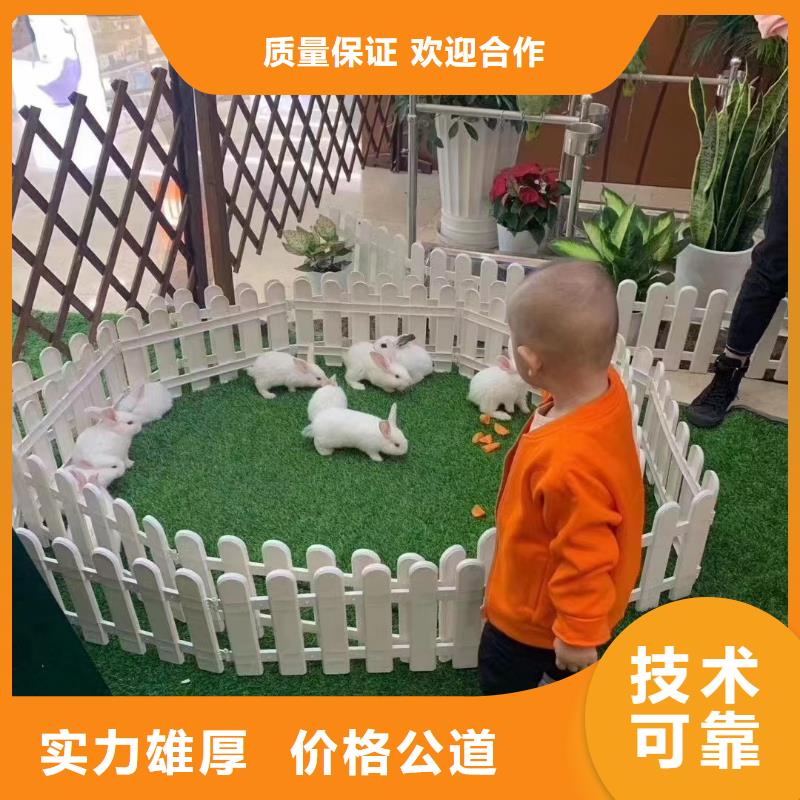 【马戏团/羊驼-企鹅租赁2025公司精心】