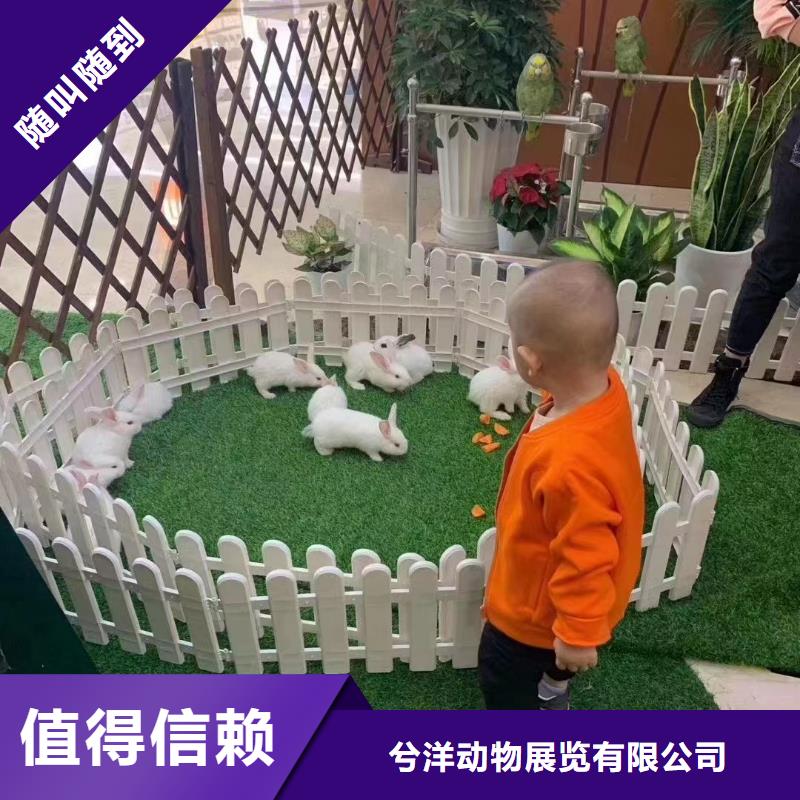 马戏团/羊驼美人鱼表演快捷