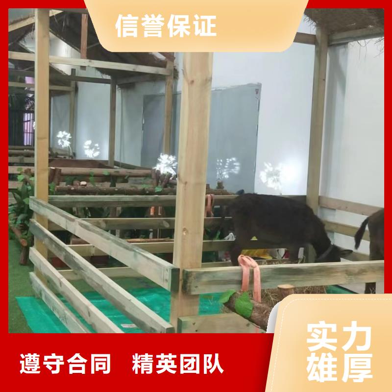羊驼租赁厂家