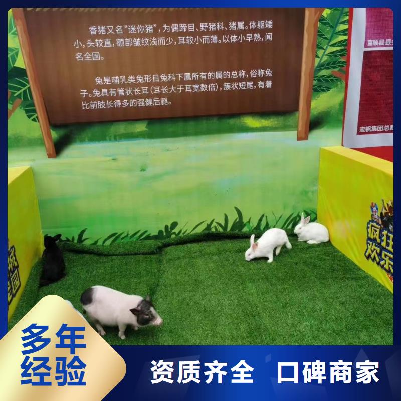 马戏团/羊驼 海洋展租赁多年行业经验