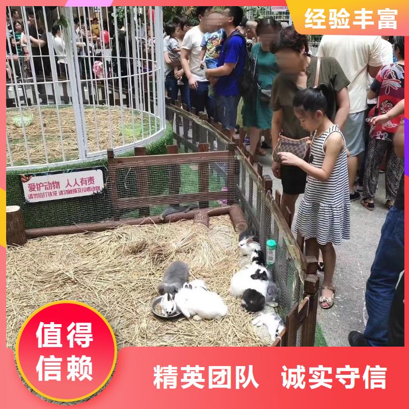 出租马戏团表演图片