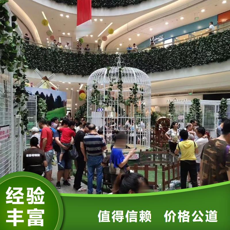 【马戏团/羊驼】房地产开盘庆典实力商家
