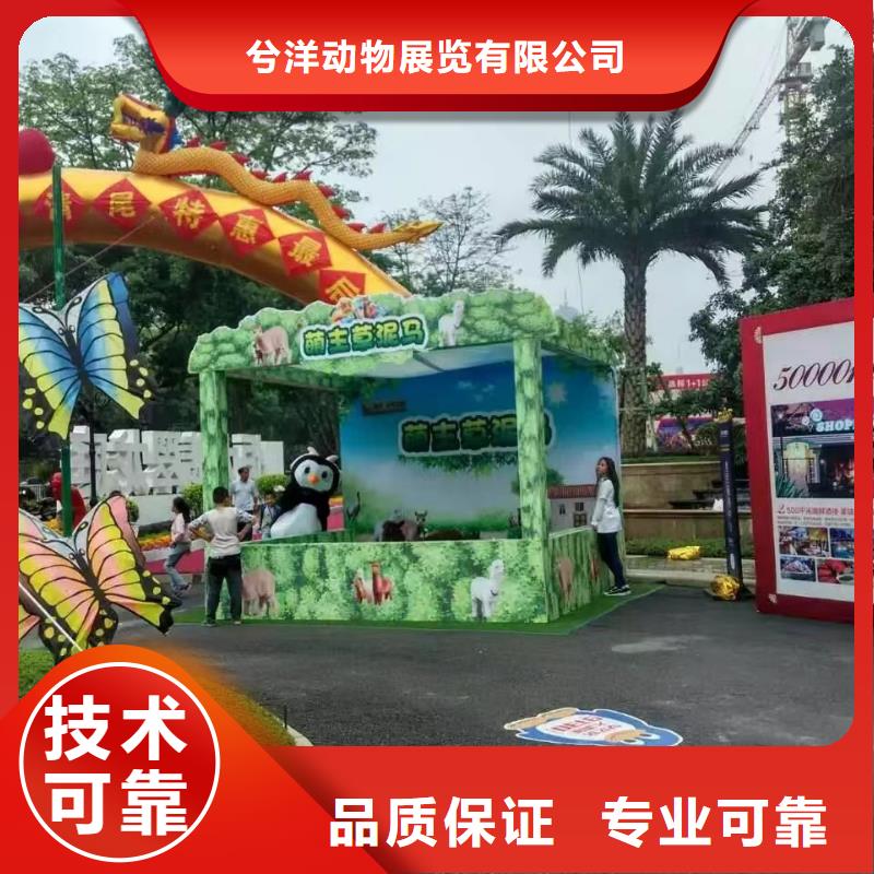 马戏团/羊驼杂耍演出口碑商家