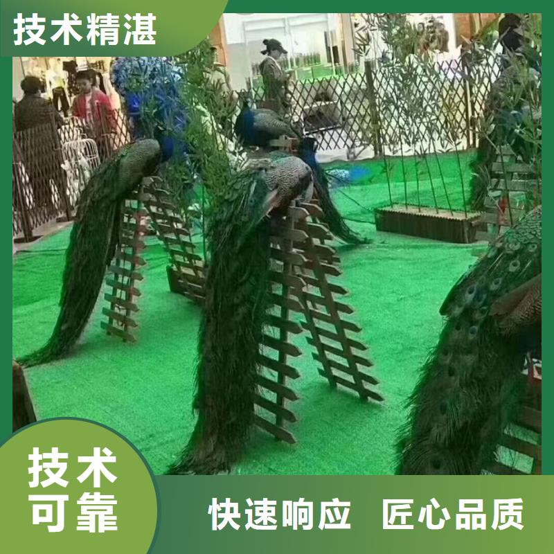 定安县哪有出租萌宠展的点击图片