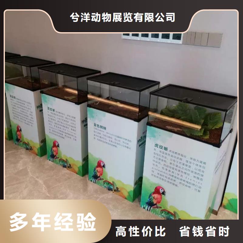马戏团/羊驼_萌宠动物展出租高品质