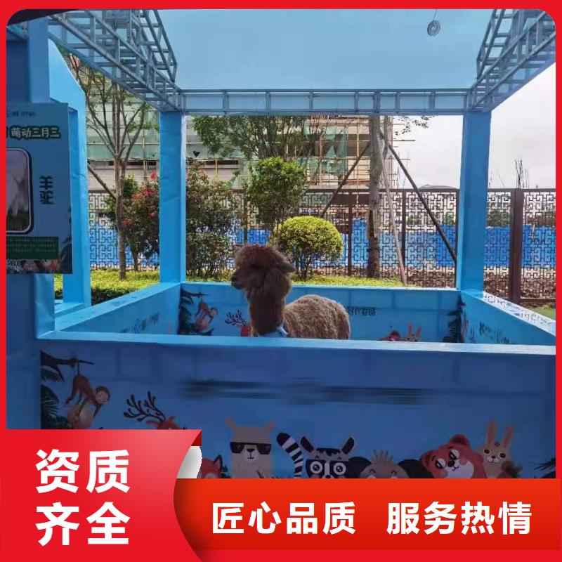 动物表演租赁暖场活动