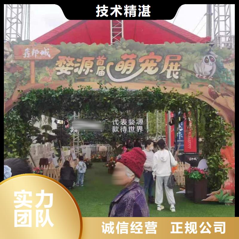 【马戏团/羊驼-海狮表演出租一对一服务】