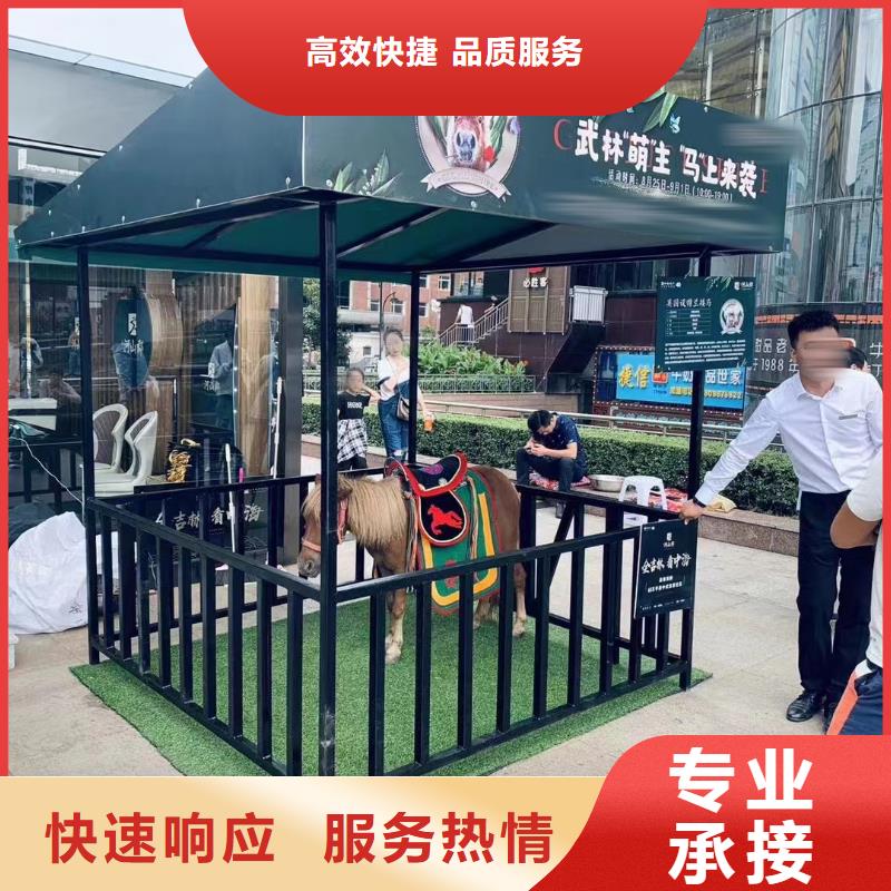 马戏团/羊驼海狮表演出租口碑商家