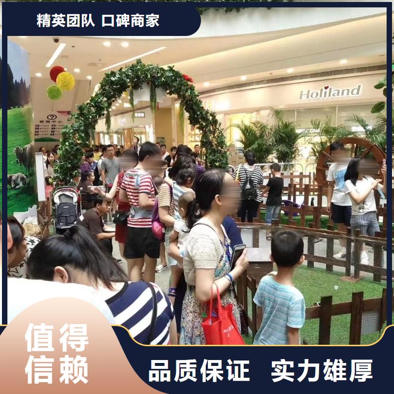 马戏团/羊驼【海狮表演租赁】案例丰富