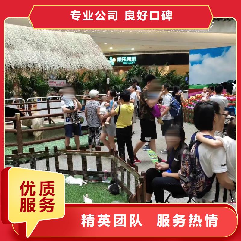 萌宠动物出租点击