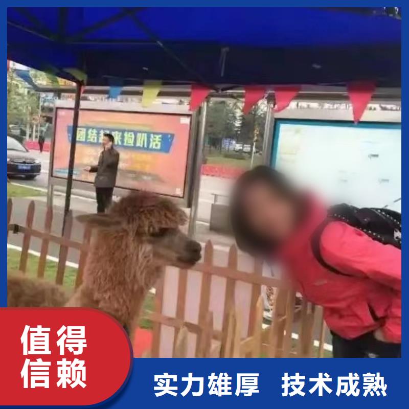 大飞轮表演出租联系我们